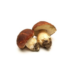 Boletus deshidratado 400 gr.