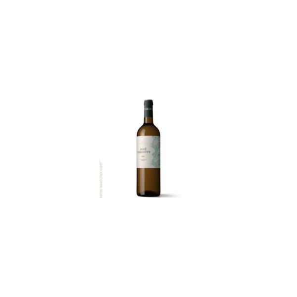 José Pariente Sauvignon blanco