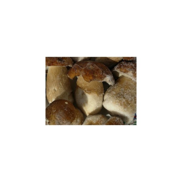 Boletus pequeño congelado Arotz 1 kg.