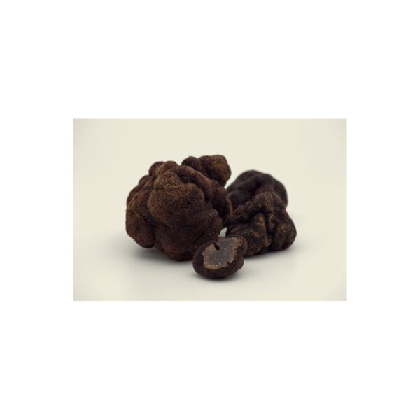 Trufa indicum brisura conserva 150 gr.